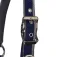 Equestro Capezza Red Trim