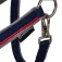 Equestro Cabeçada Red Trim