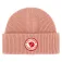 Fjällräven Gorro 1960 Logo