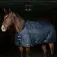Equestro Alberta uitloopkleed