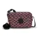 Kipling Abanu 2L 크로스백