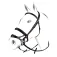 Equestro Cabeçada Combined
