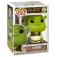 Funko POP! Shrek Figure