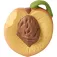 Oli&carol Palm Peach teether