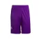Select Pantalones cortos junior Player lnh