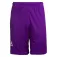 Select Pantalons curts Player lnh