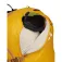 VAUDE Monviso 20L 背包