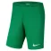 Nike Dri-FIT Park 3 shorts