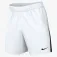Nike Dri-FIT Venom IV shorts