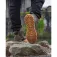 Fox international V2 boots