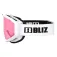 Bliz Liner Skibriller