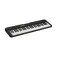 Casio Teclat CT-S100