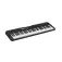 Casio Clavier CT-S300