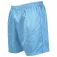 Precision Micro-stripe shorts