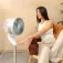 Cecotec Ventilateur de sol 1000 Cyclone Smart