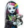 Monster high Boneca Frankie Stein Refresh Core