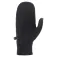 Cairn Condor Touch votter