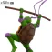 Abysse Ninja Turtles Donatello beeld