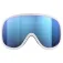 POC Retina ski goggles
