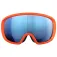 POC Fovea ski goggles