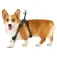 Insta360 Pet Harness Mount M