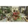 Playstation PS4 Knack 2