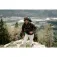 Jack wolfskin Prelight Pro Spodnie