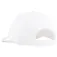 Puma Ess Cat BB cap