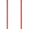 Völkl Phantastick 18mm 杖