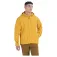 Marmot Waypoint Goretex jacket
