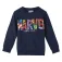 Marvel Cotton brushed Bluza