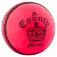 Readers County Crown cricketboll