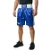 Everlast Calções de boxe 23´´