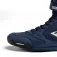 Everlast Elite 2 Boxschuhe