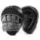 Everlast Luvas Powerlock r focus