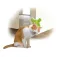 Afp Groomer corner 刮刀