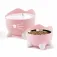 Catit Pixi-combinatiekit