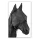 Tattini Paddock 파리 마스크