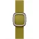 Apple 42 mm Modern Buckle strap