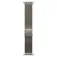 Apple Corretja 49 mm Milanese Loop