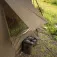 Avid carp Screen House XT Compact teltta