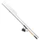 DAM Canne carpfishing Impulse-X Picker