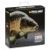 Prologic 1000 m monofilament