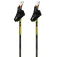 Swix Bastons Dynamic D3
