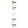 Zman Pop Frog soft lure 101.6 mm