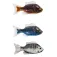 Live target Sunfish Unrigged Sinking weicher köder 97 mm