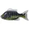 Live target Sunfish Unrigged Sinking weicher köder 97 mm