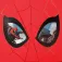 Marvel 3C Spiderman Protector federmäppchen