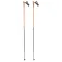 Rossignol Force 7 Stokken