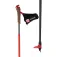 Rossignol Force 9 poles
